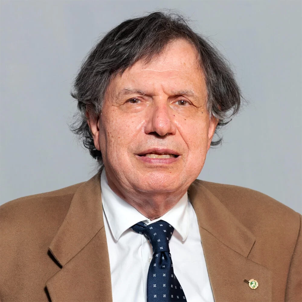 Giorgio Parisi